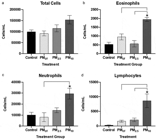 Figure 9. Total cells and cell differentials collected from BALF in male mice 24 hr post sub-acute exposure to PM. panel a) graph of total cell counts reflected as the number of cells per mL of BALF collected. Panels b-d) graphs of cell differentials based on representative counts of 500 cells/mouse. For each endpoint, data were analyzed using a one-way ANOVA to test the effect of particle size on cell counts/ml, and a post-hoc Tukey’s multiple comparison test to determine statistical differences between specific exposure groups. N = 6/gender/group for all endpoints. Statistical significance was determined at a level of p < .05 for all ANOVAs and Tukey’s tests. The asterisk (*) signifies a significant (p < 0.05) difference from control, and brackets signify significant (p < .05) differences between groups exposed to different PM size fractions.