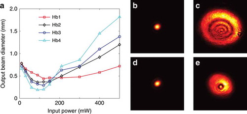 Figure 13. Output beam waist for varying hemoglobin concentration and input power. (a) Detected beam diameter as function of input power through the hemoglobin solutions for four different concentrations (Hb1-Hb4): 2.4, 5.1, 8.6, and 15.0 million cells per mL. Nonlinear self-focusing of the beam occurs around 100mW for high concentrations of hemoglobin, but it subsequently expands into thermal defocusing rings at high powers. (b-e) Output beam transverse intensity profiles for (b) self-trapped beam at high concentration and low power, (c) DSW at high concentration and high power, (d) self-trapped beam at low concentration and low power, (e) DSW at low concentration and high power.Reprinted by permission from Macmillan Publishers Ltd. from [Citation43]. Copyright 2019.