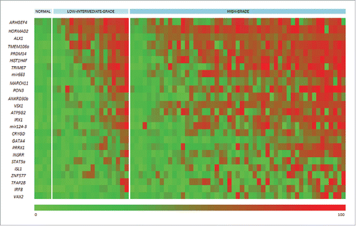 Figure 3. Heatmap for 25 hypermethylated gene promoter-associated CpG islands. Pyrosequencing validation of 25 gene promoter-associated CpG islands, identified as frequently differentially methylated in high-grade tumors by 450 K BeadChip-array analysis. As indicated above the heatmap, the four normal bladder controls are presented to the left-side of the heatmap, followed by 18 low-intermediate-grade tumors, and 51 high-grade tumors (the combined discovery and investigation cohorts). Each row represents the promoter-associated CpG island of the indicated gene, and each color block the mean level of methylation across the island. The color scale beneath the heatmap represents methylation status: unmethylated is green (0.0% methylation), and fully methylated is red (100.0% methylated).