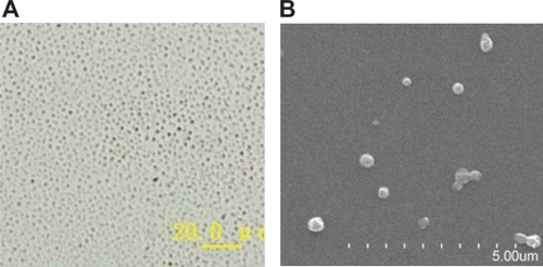 Figure 1 Photographs of ofloxacin-loaded solid lipid nanoparticles: A) optical microscope (magnification ×400); B) scanning electron microscope.