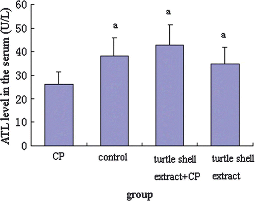 Figure 3.  Effect of pre-treatment with turtle shell extract (220 mg/kg BW, p.o. for 29 days) on serum ATL level in normal and CP-treated mice. Values are means±SE (n=6). (a) Indicates that, when compared with CP-treated mice, the serum ATL level in other groups increased significantly (p<0.05).