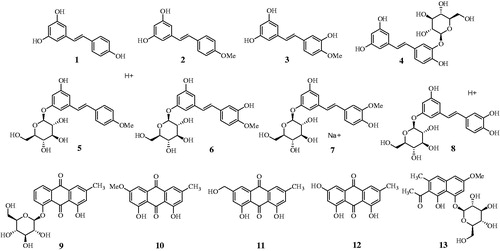 Figure 1. Structures of compound 1 in-house library and isolated compounds 2–13 from R. undulatum.