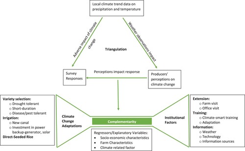 Figure 2. Conceptual model of triangulation and complementarity between climate change adaptations and institutional factors.