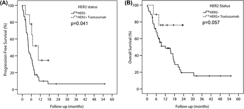Figure 1. Progression-free survival (A) and overall survival (B) for patients treated with and without trastuzumab.