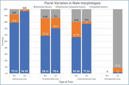 Figure 3. Percentage floral variation amongst male morphotypes.