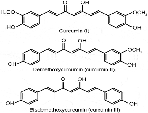 Figure 1. Chemical structure of curcumin (diferuloylmethane), dimethoxycurcumin and bis-dimethoxycurcumin