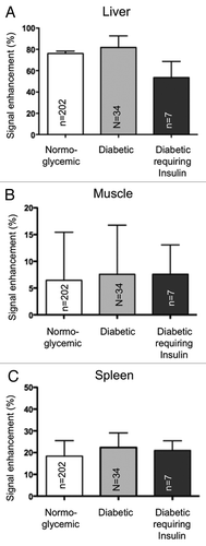 Figure 4. The MEMRI signal of liver (A), muscle (B) and spleen (C) does not differentiate normoglycemic patients from diabetic patients. The signal enhancement of liver (A), muscle (B) and spleen (C) was not statistically different between normoglycemic and type 2 diabetic patients. Data are mean + SEM signal enhancement, expressed as % of the signal evaluated prior to the manganese infusion.