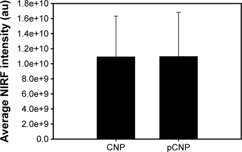 Figure S1 1 mL each of CNP and pCNP were prepared in water.Notes: The particles were imaged in IVIS and had similar NIRF intensity (P-value =0.968). We utilized these particles to evaluate the biodistribution of each particle in athymic mice.Abbreviations: CNP, chitosan nanoparticle; IVIS, in vivo imaging system; NIRF, near infrared fluorescent; pCNP, peptide-conjugated chitosan nanoparticles.