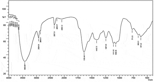 Figure 8. FTIR spectrum analysis of fraction V obtained from Tm-LME of AgNPs.