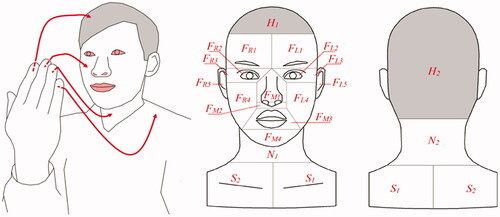 Figure 3. Classification of touch action on hair, face, neck and shoulders, with mucous membranes are shown in red (L), and sub-surface listed codes (R) (Zhang et al. Citation2020).
