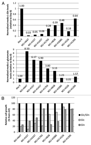Figure 2. Amino acid analysis of NSCLC lines. (A) Relative free glutamine and glutamate levels in conditioned media. (B) Effect of Gln or Glc depletion of these lines on cell growth. Values were calculated from triplicate samples.