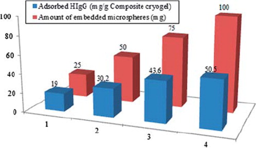 Figure 6. Effect of the amount of the embedded microspheres in cryogel column on HIgG adsorption. MAH content: 35.3 μmol/g, HIgG concentration: 2.5 mg/mL, pH 6.0 (phosphate buffer), flow rate: 1 mL/min, T: 25°C.