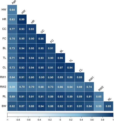 Figure 1. Heatmap of correlation coefficients among age at measurement, body weight and linear body measures in alpaca (BW body weight; HW Height at withers; HR Height at rump; CC Chest circumference; FC flank circumference; BL body length; TL trunk length; CL Chest length; RW1 rump width 1; RW2 rump width 2; RL rump length). All correlation coefficients are significant at p < 0.01.