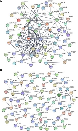 Figure 2 PPI network of DEGs.