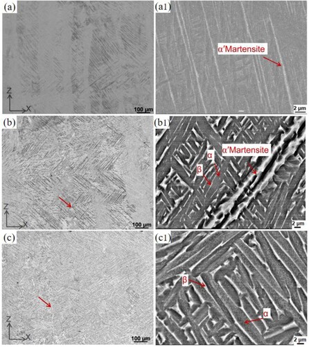 Figure 15. Optical microscopy and SEM images of the microstructure of as-fabricated B3 sample and the samples after annealing at different temperatures: (a) and (a1) As-fabricated, (b) and (b1) annealed at 800°C, (c) and (c1) annealed at 900°C.