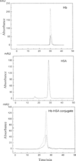 Figure 1 SEC pattern of Hb-HSA conjugate detected at 280 nm (solid curve) and 405 nm (dash curve).