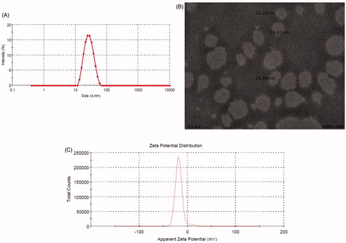 Figure 3. Silymarin-loaded nanoemulsion: (A) droplet size, (B) transmission electron microscopy, and (C) zeta potential.