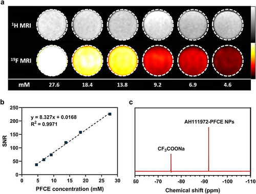 Figure 2 MRI characterization of AH111972-PFCE NPs. (a) 19F MRI of a dilution series of AH111972-PFCE NPs dissolved in 1.7% agarose solution. (b) Plot of the 19F MRI signal-to-noise ratio (SNR) versus PFCE concentration. (c) 19F NMR spectrum showing the AH111972-PFCE NPs singlet in relation to an internal sodium trifluoroacetate (CF3COONa) reference standard.