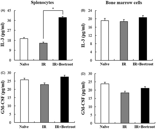 Figure 8. The effect of beetroot on cytokine production in splenocytes and bone marrow cells. Splenocytes and bone marrow cells were isolated from mice of each experiment group at 10 days after irradiation and seeded onto 96-well microtiter plates. After 48 h of incubation, the levels of GM-CSF and IL-3 were measured in culture supernatants. Data are represented as means ± SEM of three independent experiments. (a) IL-3 production level in splenocytes, (b) GM-CSF production level in splenocytes, (c) IL-3 production level in bone marrow cells, (d) GM-CSF production level in bone marrow cells (*p < .05).