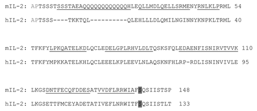 Figure 3. Sequence alignment of mouse and human IL-2. Eight discrete segments of mIL-2 covering all the differences between both molecules (selected for partial humanization) are underlined. The first two residues (Ala-Pro, shown in gray) are absent from the phage-displayed molecules. Residues Cys140 and Cys125 (unpaired Cys) in mouse and human IL-2 respectively were replaced by Ser (shaded in gray).