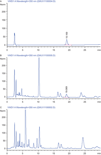 Figure 1.  Typical high-performance liquid chromatograms (HPLC). The content determination of luteolin in pain-relieving plaster (PRP) extracts was performed by HPLC. (A) Positive control with 20 μg/mL luteolin, (B) PRP extracts, (C) negative control of PRP extracts without Lamiophlomis rotata in the prescription. The flow rate of mobile phase was 1.0 mL/min and detection was performed at wavelength of 350 nm.