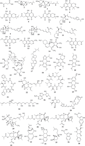 Figure 1. Selected antimicrobial compounds reported from Fusarium endophytes.