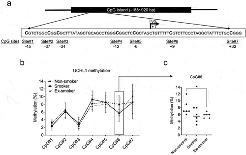 Figure 2. UCHL1 promoter methylation and mRNA expression in airway epithelium from non-smokers, smokers, and ex-smokers obtained by LCM. (a) Schematic representation of the CpG island of the UCHL1 gene, outlining the CpG sites around the TSS. The TSS is shown as +1. (b) Bronchial airway epithelium from non-smokers, smokers, and ex-smokers was collected by LCM, (n = 6 per group) and DNA methylation of seven CpG sites was analysed by pyrosequencing. Data represent the connected median methylation levels at different CpG sites (n = 6). (c) The percentage of methylation at CpG site #6 (+9 bp) for each group is indicated. Significance was analysed by nonparametric Mann-Whitney U-test, *p < 0.05.