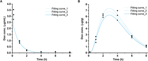 Figure 5 Observed and simulated doxorubicin concentration-time profiles following intravenous administration of PBCA nanoparticles. Overlay between the predicted and the observed concentrations in (A) plasma and (B) brain for the pharmacokinetics observed by Gulyaev et al.Citation25 The observed upper (◆), mean (■) and lower (◀) values were fitted, respectively. An overlay using the model structure without an indirect (cell-mediated) accumulation pathway was unsuccessful and is presented in the Figure S3).