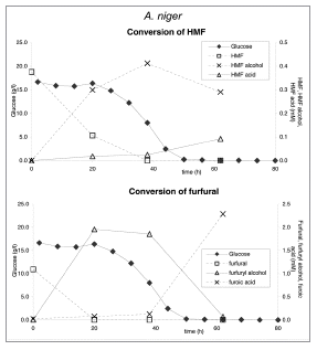Figure 8 Conversion of HMF and furfural in hydrolyzed corn stover fermentations of A. niger strain N402 at pH 4.5.