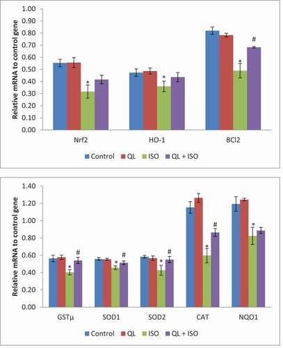 Figure 4. Effects of isoproterenol (ISO) and treatment with quercetin-lycopene (QL) on Nrf2/HO-1 signaling gene network. Data presented were of mean±SD of triplicate measurements. Statistical significant level was calculated by ANOVA and post-hoc by DMRT analysis. Results were significant at P ≤ 0.05 in comparison with control group (*) and with ISO group (#)