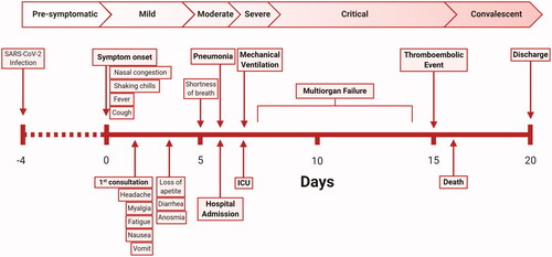 Figure 3. Events in the sequence of progression of patients with symptomatic COVID-19a. Median number of days (horizontal line) from symptom onset (day 0) to the first appearance of an event of interest (boxes) in the progression sequence of an average patient who progresses to critical COVID-19 with one of two outcomes: death or recovery. The median incubation period (time from infection to symptom onset, dashed line) is 4 days [Citation112], which corresponds to the pre-symptomatic period (day -4 to 0, horizontal arrow). The hypothetical sequence of progression through each of the clinical stages with approximate median days to onset are represented as horizontal arrows with a red gradient: mild (onset: day 0), moderate (onset: day 5), severe (onset: day 6), critical disease, and the convalescent or recovery period (onset: day 16). aNot all patients will progress or go through each of these clinical stages. The type of symptoms and days from onset at the time of medical evaluation are also highly variable as outlined by the wide interquartile ranges in descriptive clinical studies. Data of median days to individual symptom onset, pneumonia, first consultation, hospital admission, and discharge are from patients classified as having mild or severe COVID-19 [Citation113]. Median days to mechanical ventilation, intensive care unit (ICU) admission, multiorgan failure, thromboembolic event, and death are from patients who progressed to critical COVID-19 [Citation114].