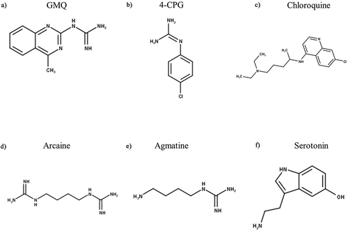 Figure 7. Structures of Non-Proton Ligand Activating Modulators of ASIC3. GMQ – 2-guanidine-4-methylquinazoline, 4-CPG – 4-chlorophenylguanidine. Structures were produced in MarvinSketch
