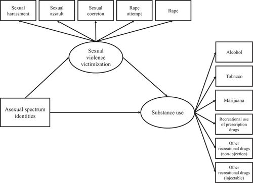 Figure 1. Hypothesized model of asexual spectrum identities, sexual violence victimization, and substance use.