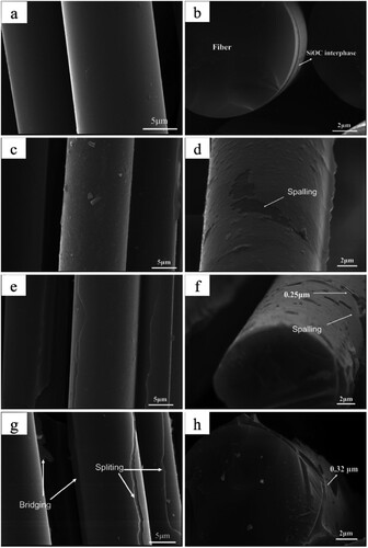 Figure 11. Surface morphology of silicon carbide fiber (a) and silicon carbide fiber coated with SiOC using different immersion cycles: (b) one cycle, (c and d) two cycles, (e and f) three cycles, and (g and h) four cycles [Citation50].