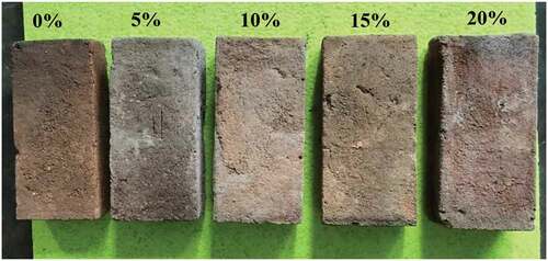 Figure 11. Appearances of brick specimens after sulphate immersion with different POFA content
