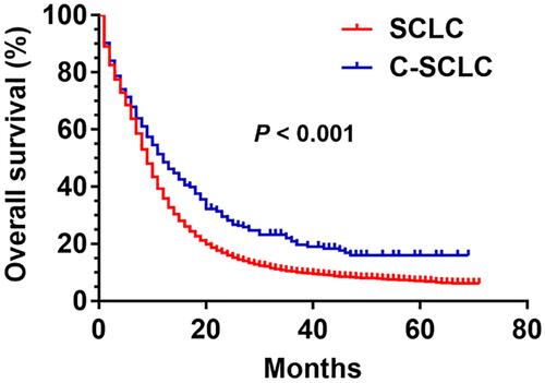 Figure 1 Survival curves for patients with c-SCLC and SCLC before PSM (P < 0.001).