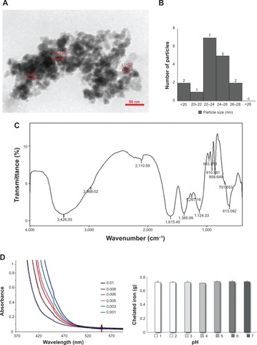 Figure 1 MSc1 HRTEM image (A); nanoparticle size–distribution histogram of MSc1 (B); IR spectrum (C) and complexometric titration (D); MSc1 iron preservation at pH 1–7 (E).Abbreviations: HRTEM, high-resolution transmission electron microscopy; IR, infrared; L, length.