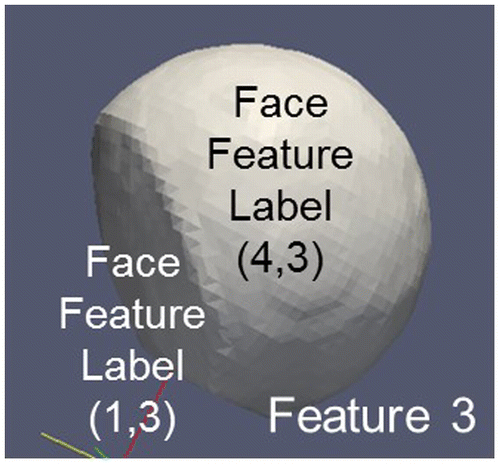 Figure 15. Surface of a Feature 3 being composed from different interface areas identified by different FaceFeatureLabels. Feature 4 (liquid) is not shown. FaceFeatureLabels to be combined are FaceFeatureLabel(3,*) and FaceFeatureLabel(*,3) where * denotes all FeatureIDs except 3.