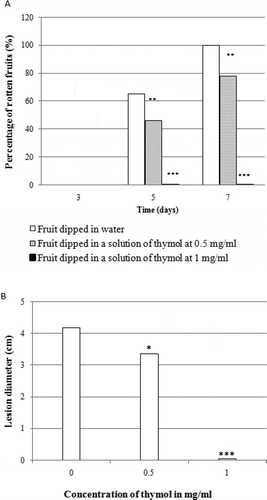 Fig. 1 Effect of thymol on rot development in orange fruit. (a) percentage of rotten fruit after seven days of incubation. (b) lesion diameter after seven days of incubation. Fruits were treated with thymol at different concentrations, inoculated with 250 µL of an aqueous suspension of spores of Penicillium digitatum (106 spores per mL) and incubated for seven days at 22°C. Results are expressed as means of three replicates. Significance in comparison with control (fruits dipped in water only) according to Student test at P < 0.05