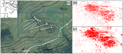 Figure 1. The six transect lines (along which vegetation and soil samples were collected), plotted over an ortophoto of 2006 with contour lines at 10 m interval (a), and the distribution of shrub patches in 2000 (b) and 2006 (c) in the immediate surroundings of the transects (indicated by the blue rectangle in panel (a)). The inlay in panel (a) shows the location of the study site at Trenca farm in Italy.