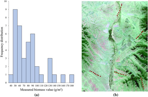 Figure 2. Frequency distribution of the field-measured biomass for the 40 selected sample plots (a), and locations of sampling sites on the Sentinel-2B image (b).