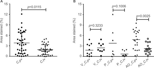 Figure 2 (A) Mean and standard deviation of the average percentage counts of the stained areas for C.p and C.t. Mann–Whitney. (B) Comparison of the mean values of the average percentage counts of the stained areas for C.p and C.t, according to the histological sections. Mann–Whitney.Abbreviations: C.p, Chlamydia pneumoniae; C.t, Chlamydia trachomatis; +, positive; −, negative; V_C.p+, C. pneumoniae positives in valves; V_C.t+, C. trachomatis positives in valves; P_C.p+, C. pneumoniae positives in atheromatous plaques; AO_C.p+, C. pneumoniae positives in aorta fragments; AO_C.t+, C. trachomatis positives in aorta fragments.