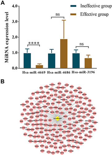 Figure 7 Exosomes derived hsa-miR-4669 was significantly downregulated in the effective group. (A) The relative expression level in nasal mucous of the effective group versus the ineffective group in the second validation. (B) Prediction of potential target genes of hsa-miR-4669. ****P <0.0001.