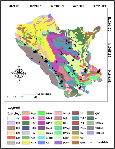 Figure 3. The lithology of the study area.