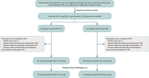 Figure 1 Enrollment pathway of patients with high-risk hepatocellular carcinoma(hHCC) who underwent HAIC and TACE therapy. *High risk: patients with Vp4 portal vein tumor thrombosis (PVTT), bile duct invasion, or a tumor infiltration volume of more than 50%.