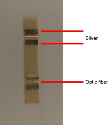 Figure 1 Appearance of type C of chimsband.