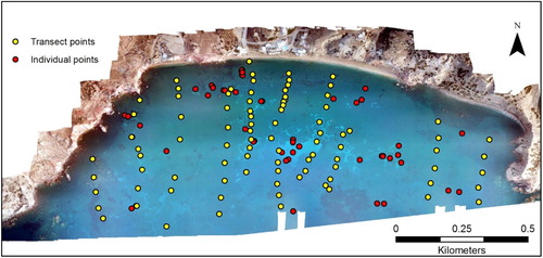 Figure 5. Map showing the sampling locations. Ten transects with the aim to spatially cover the bay were planned in addition to the several individual locations in the areas of interest.