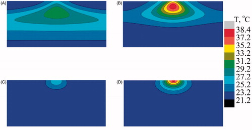 Figure 10. Predicted temperature distribution at mid Y–Z plane in the case of bare tissue. (A) Multiple scattering in the absence of gold mesoflowers (AuMS), (B) multiple scattering in the presence of AuMS, (C) Welch model in the absence of AuMS, (D) Welch model in the presence of AuMS (power = 558 mW, 300 s).