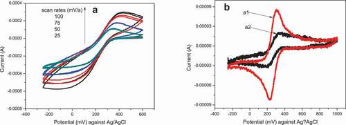 Figure 1. Cyclic voltammogram of 10 mM [Fe(CN)6]3-/4− in 1 M KNO3 using unpolished GCE (A) and a1 is polished GCE(B) at scan rate of 50 mV/s and a2 correspond to unpolished GCE(B) at scan rate of 50 mV/s