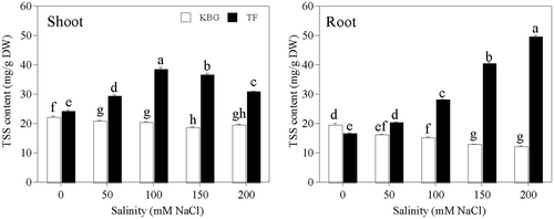 Figure 8. Total soluble sugar (TSS) concentrations in the shoots and roots of Kentucky bluegrass (KBG; Poa pratensis L.) and Tall fescue (TF; Festuca arundinacea Schreb.) at different sodium chloride (NaCl) concentrations. Bars indicate standard error (n = 3). Different lower case letters indicate significant differences between means at P = 0.05 according to Duncan's multiple range tests. DW, dry weight.